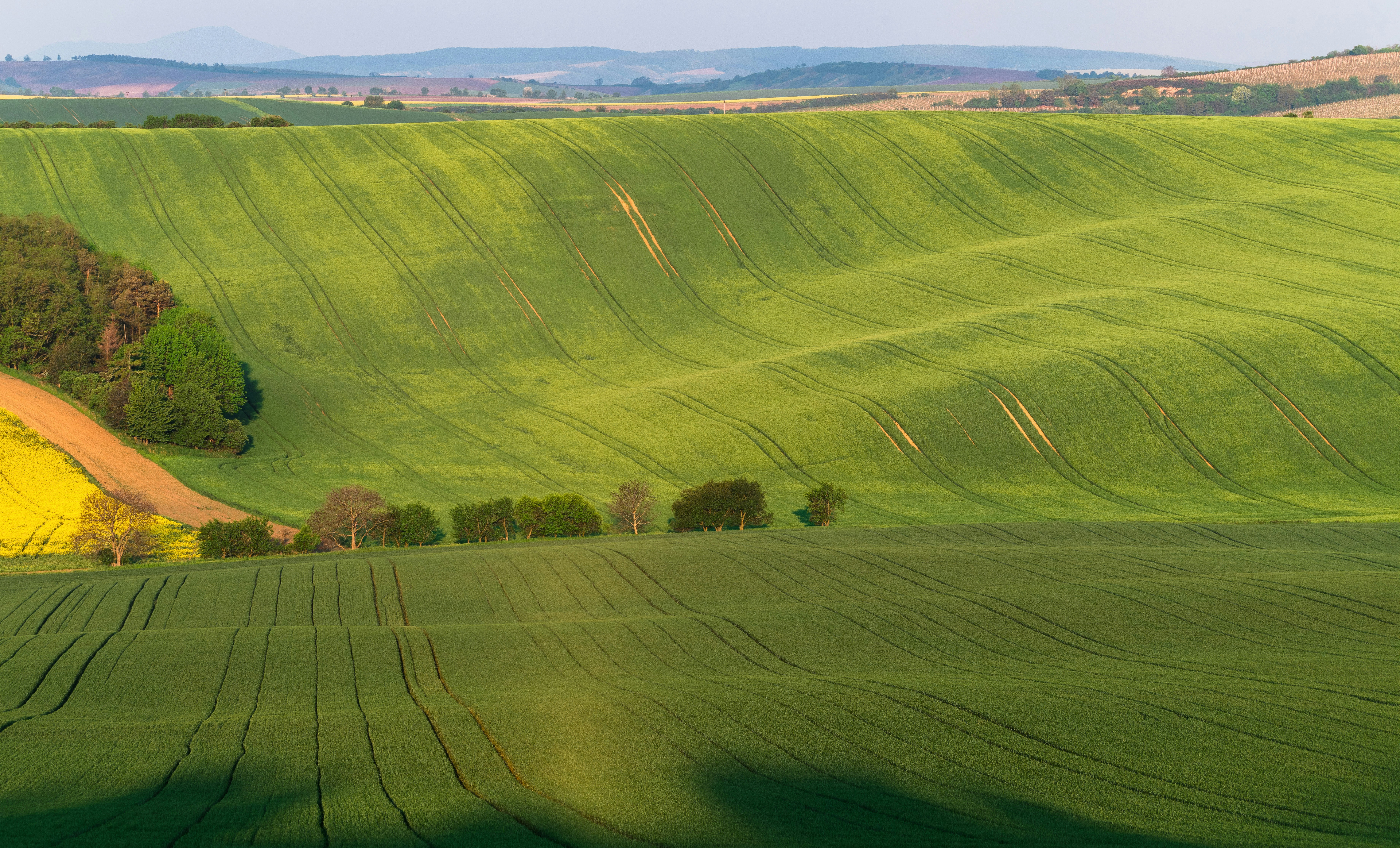 landscape photography of green mountain